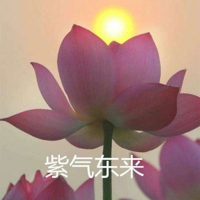 龙城无双百度版下载